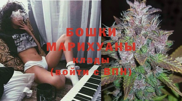 дживик Бронницы