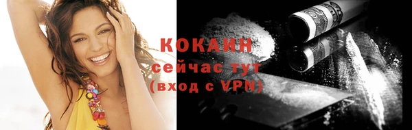 дживик Бронницы