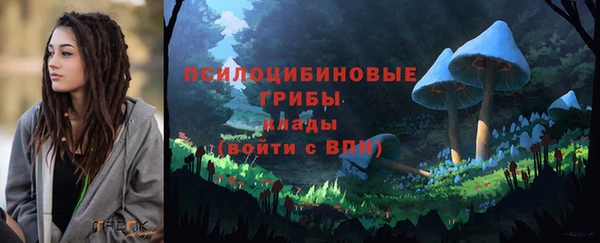 дживик Бронницы